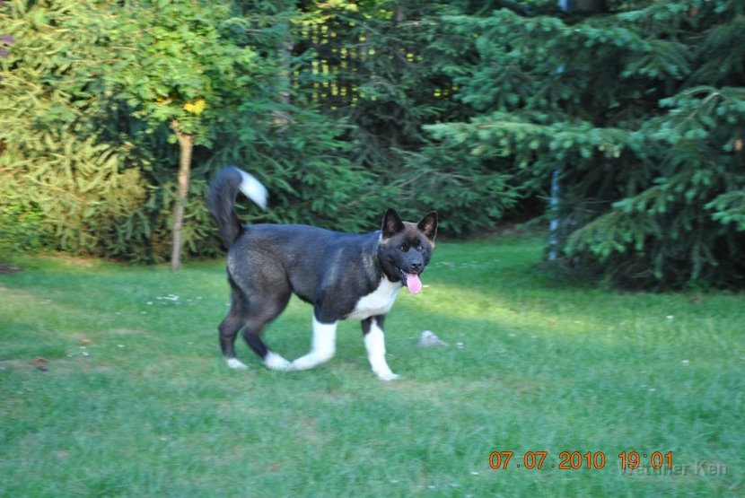2010_07_08 017